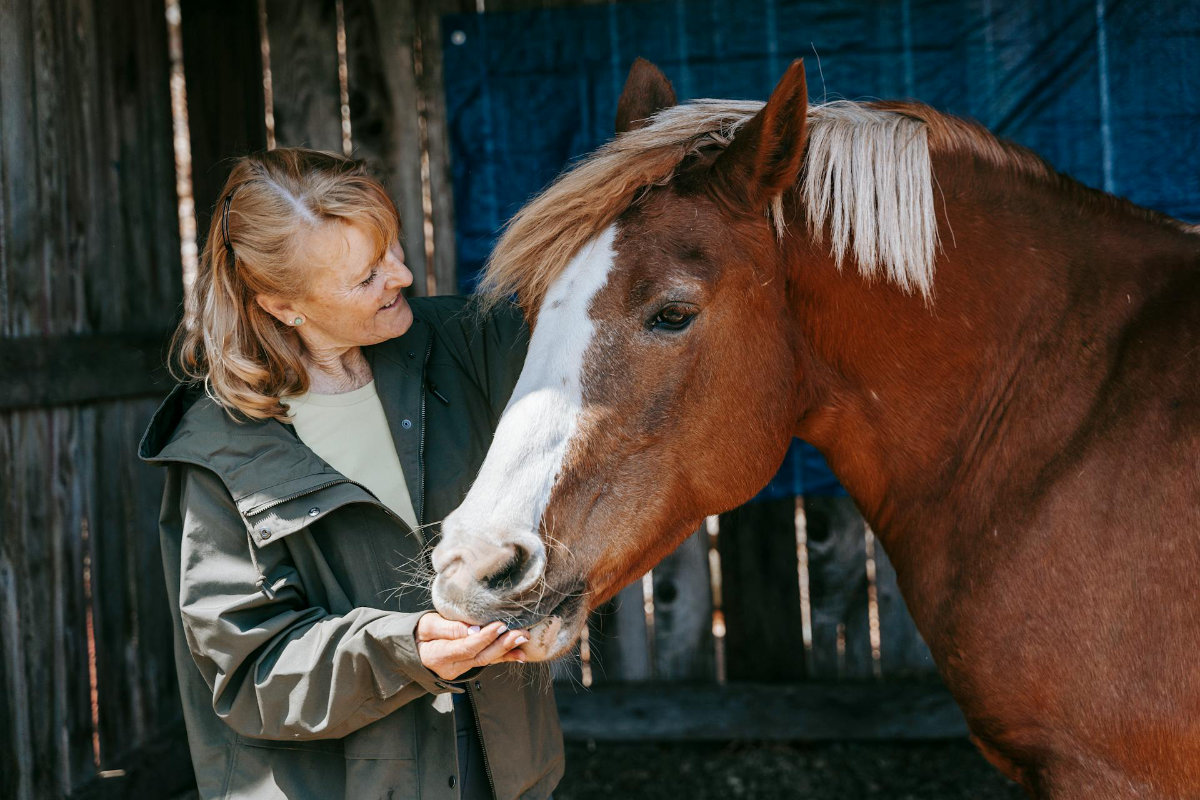 Old lady petting horse