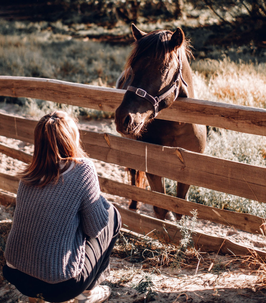 Person connecting with a horse